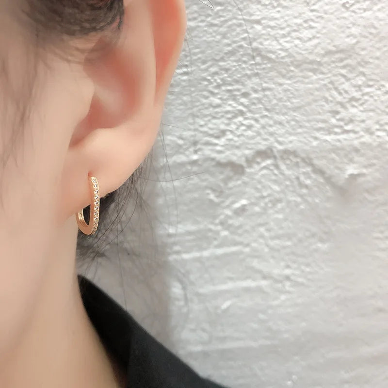 Elegant zircon earrings