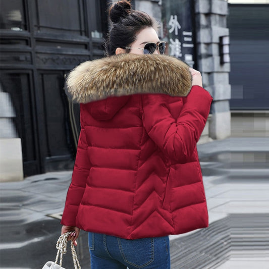 Hooded Winter Coat Fur collar