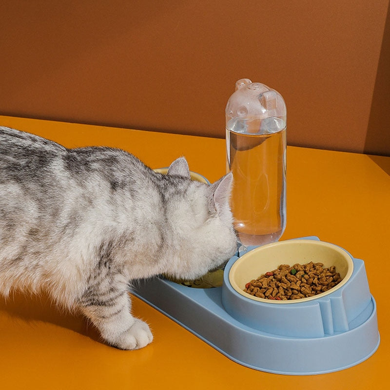 Double Bowls with Water Dispenser