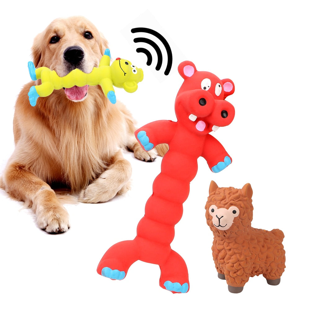 Puppy Play Chew Toys Dogs