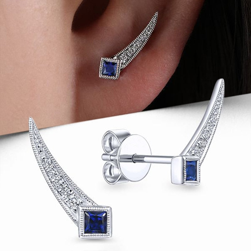 Modern Design Earrings Charming Blue/White CZ Stone